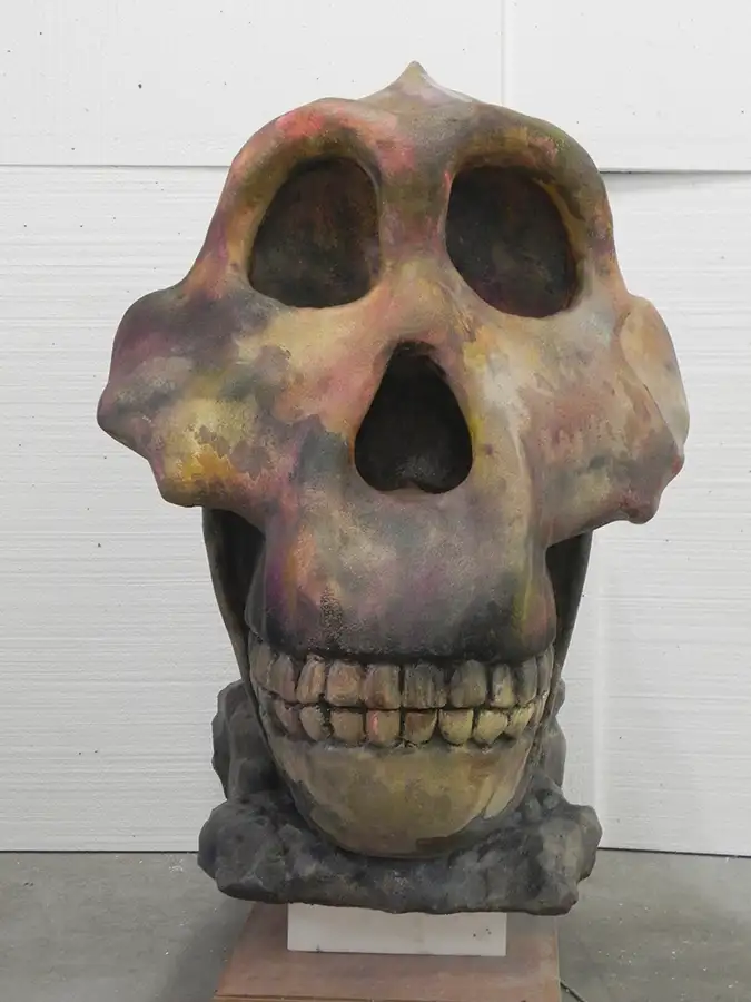 Paleontología Cráneo OH5